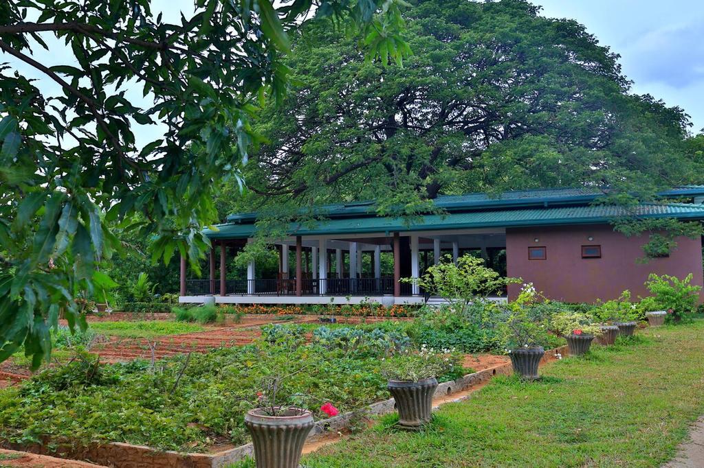 Grand & Gangula Hotel Dambulla Exterior photo