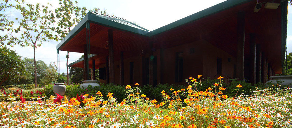 Grand & Gangula Hotel Dambulla Exterior photo