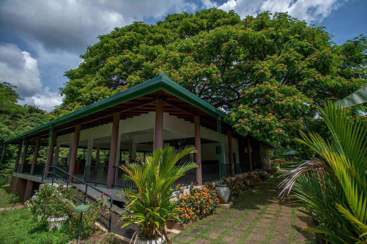 Grand & Gangula Hotel Dambulla Exterior photo