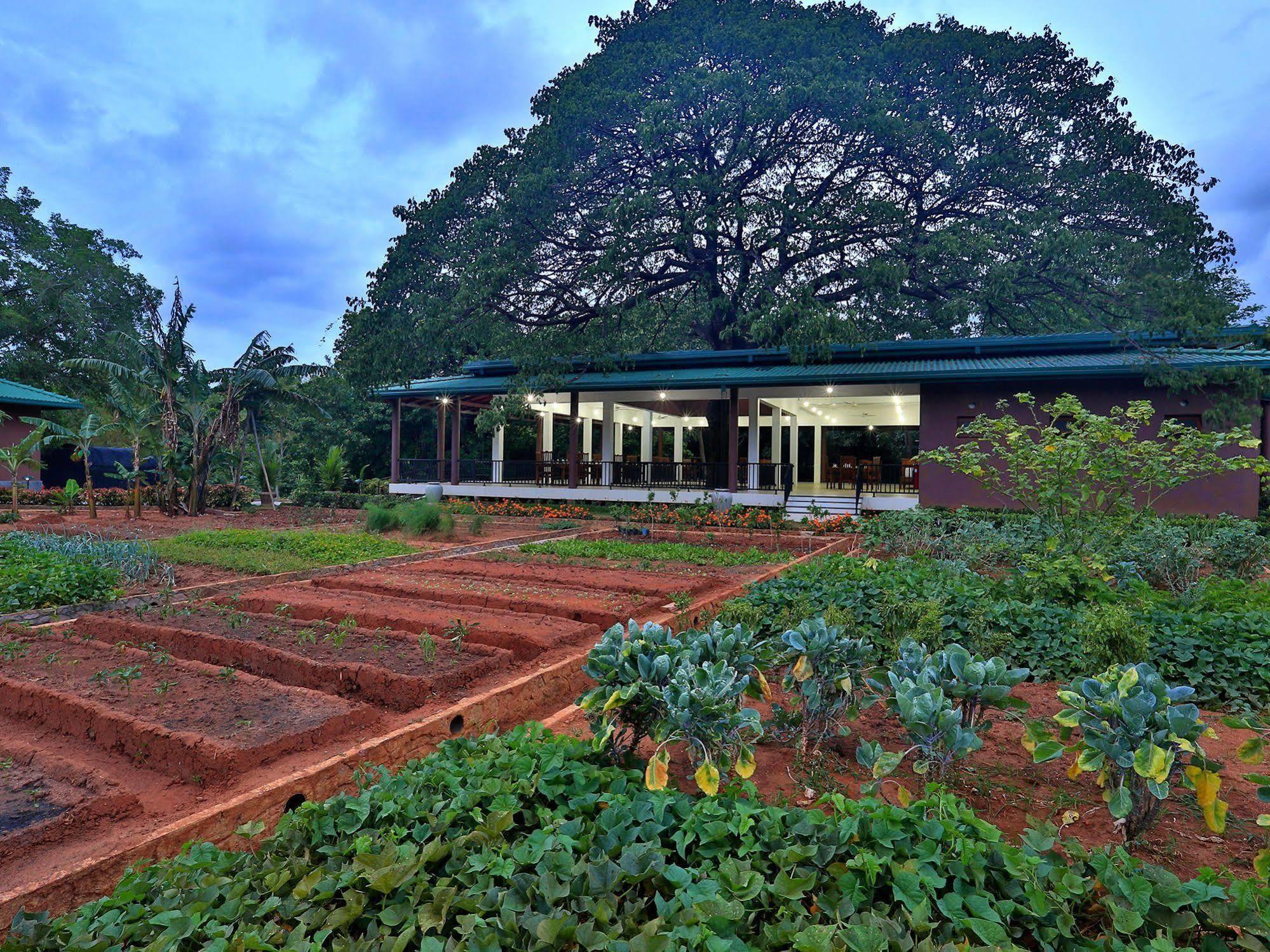 Grand & Gangula Hotel Dambulla Exterior photo