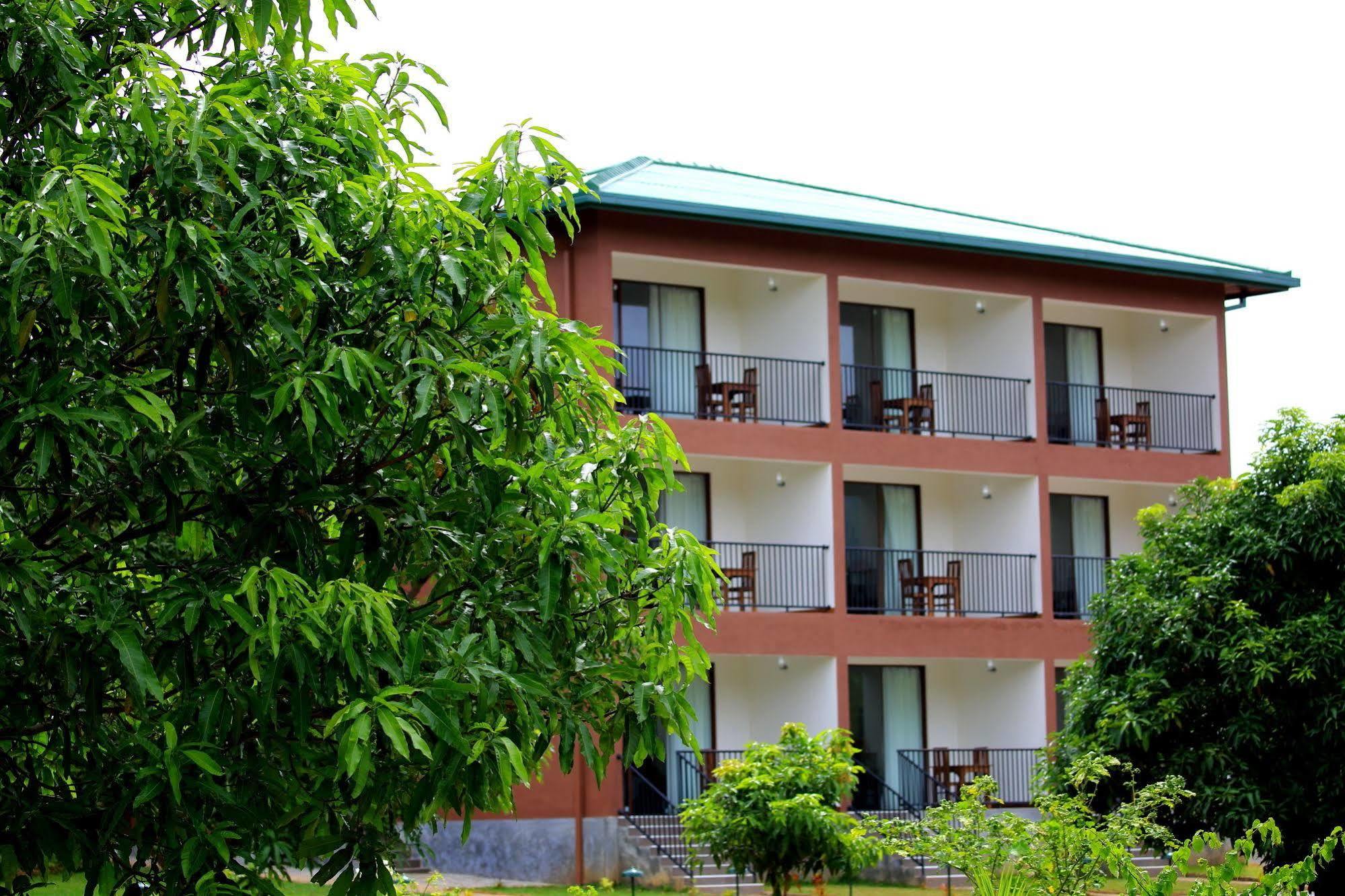 Grand & Gangula Hotel Dambulla Exterior photo