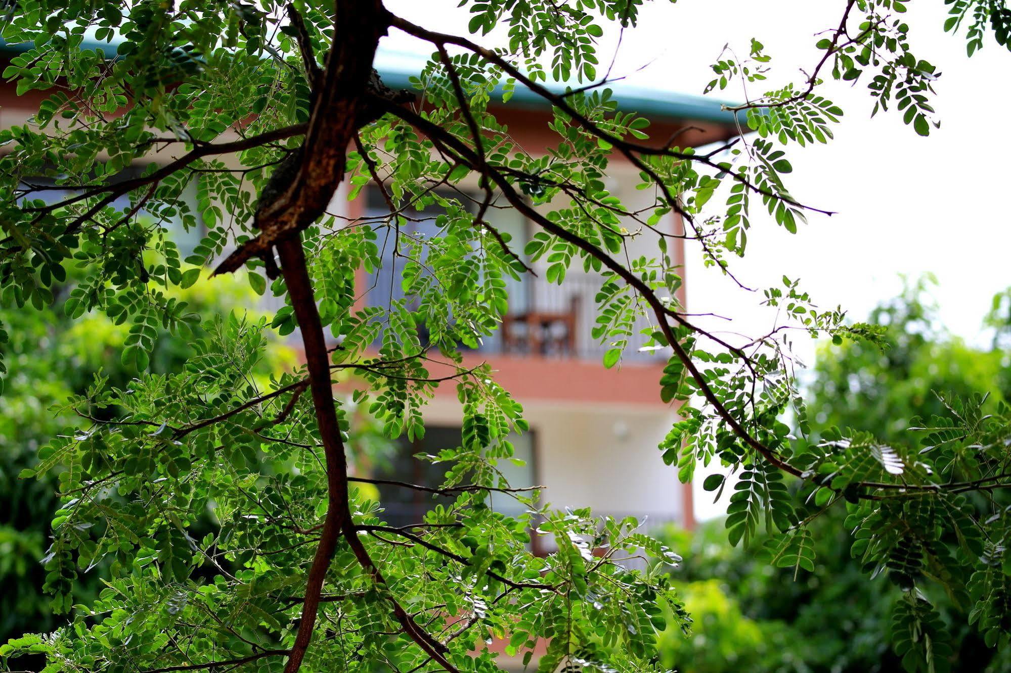 Grand & Gangula Hotel Dambulla Exterior photo